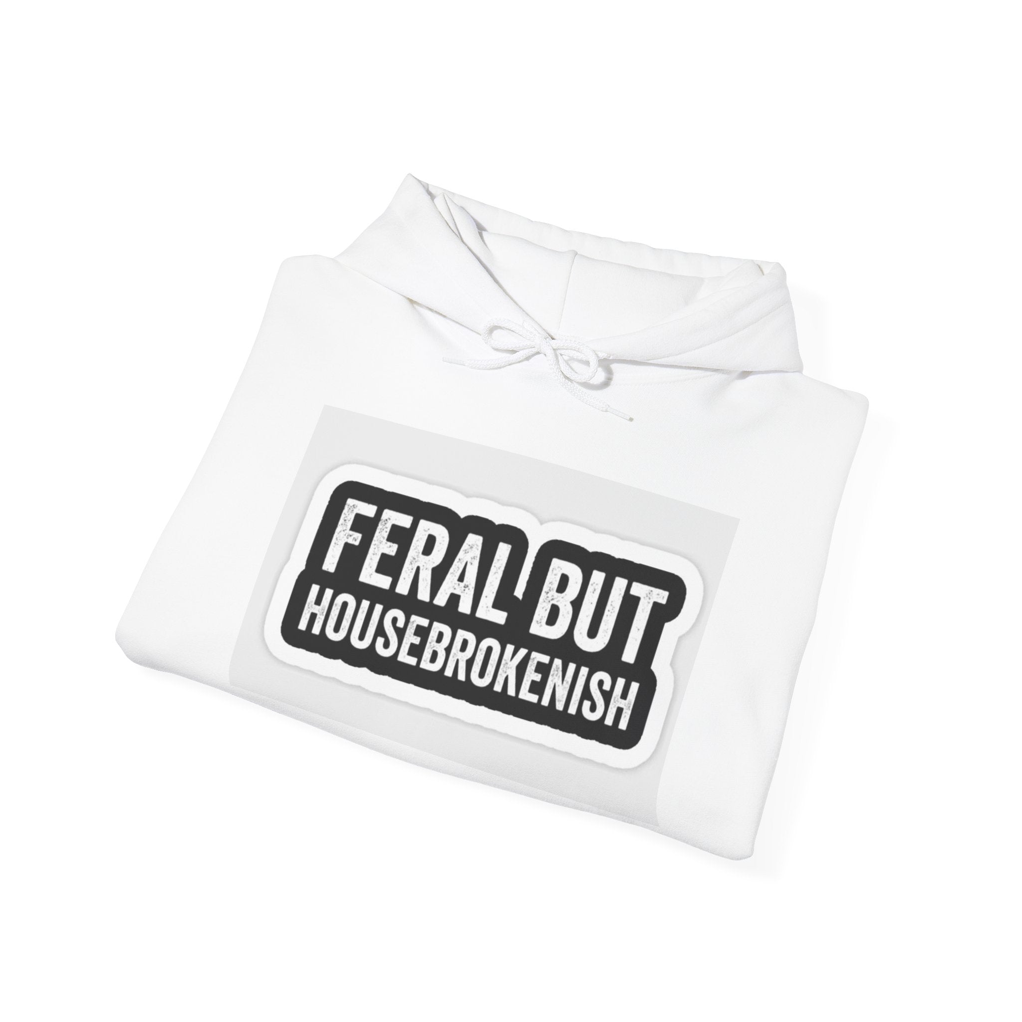Hazardy "Feral But Housebrokenish" Graphic Hoodie — Black
